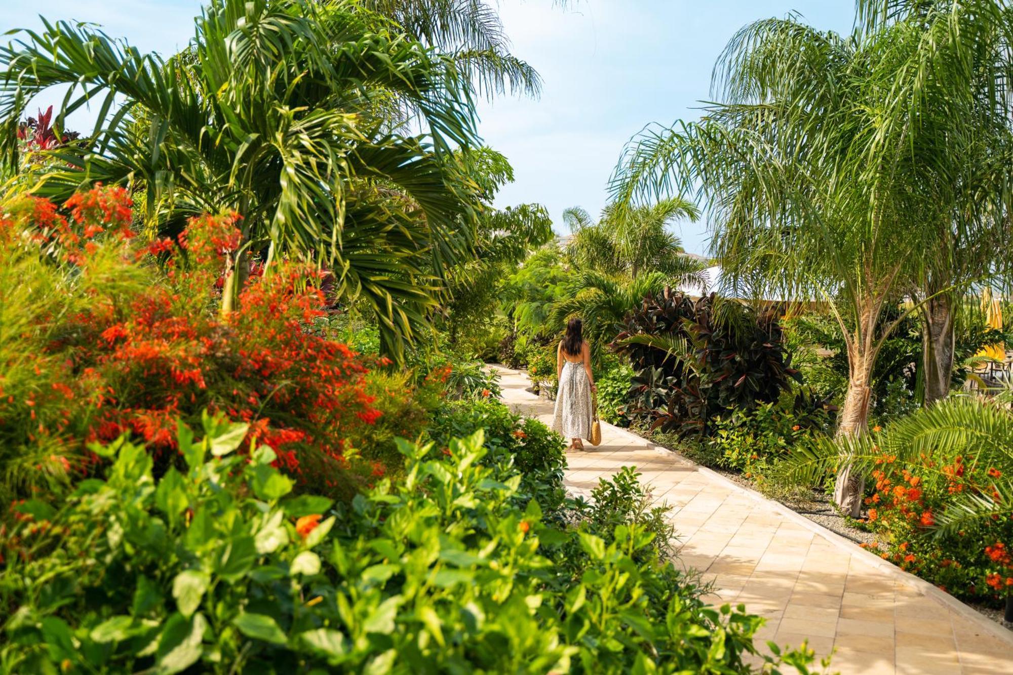 Golden Rock Dive And Nature Resort Oranjestad  Exterior photo